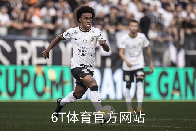 6T体育官方网站公司简介图片